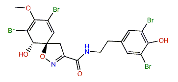 Pseudoceratinamide A